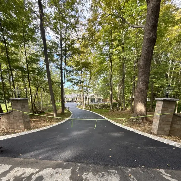 Driveway Paving